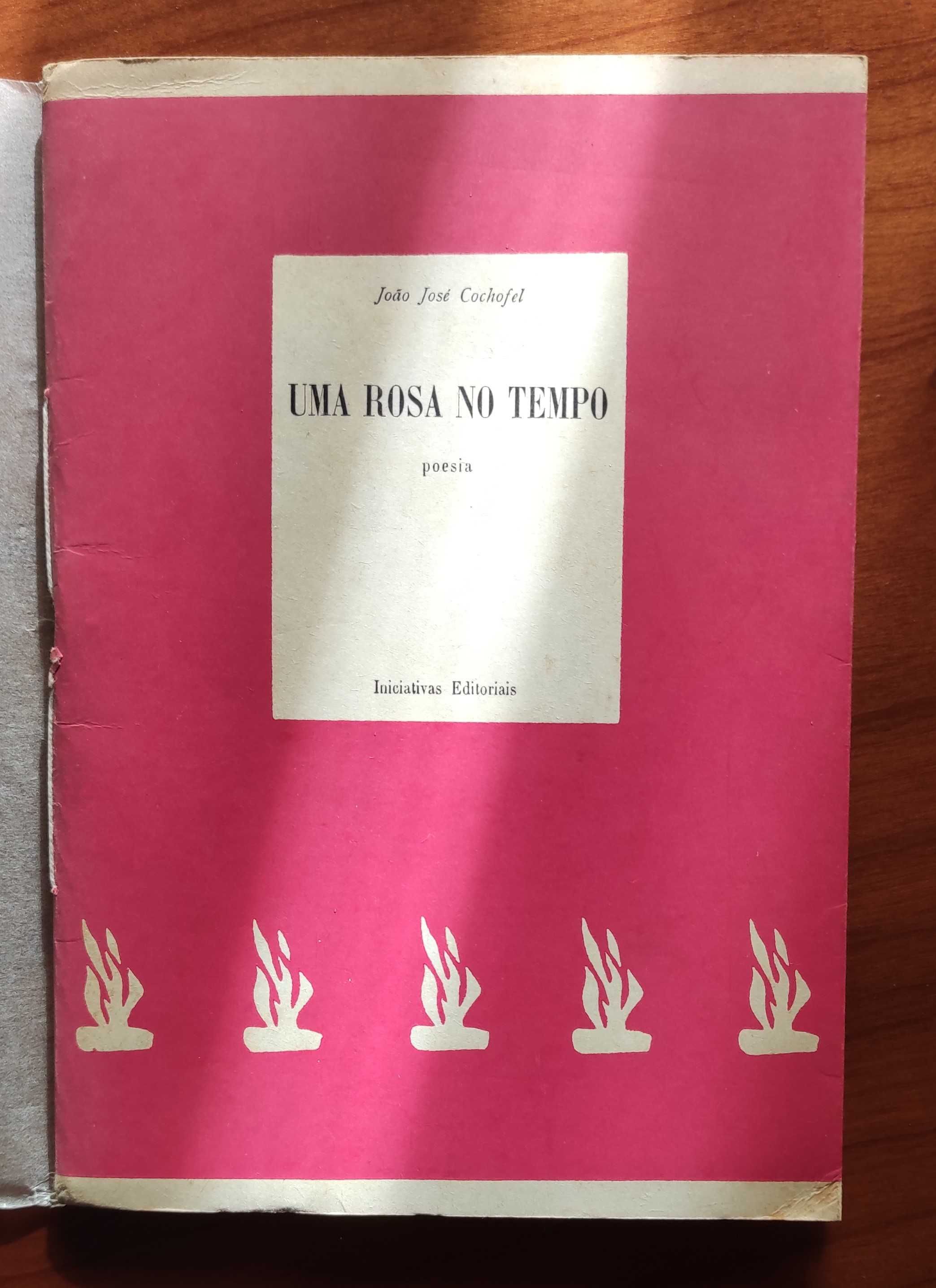 Iniciativas Editoriais