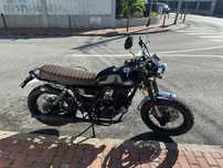 Mash Black Seven 250 Two fifty