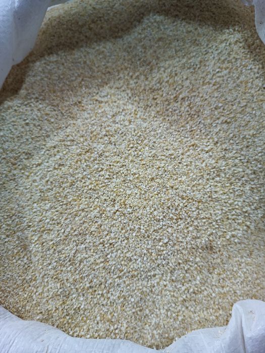 Ячка, ячмінка!! Середня та мілка!!