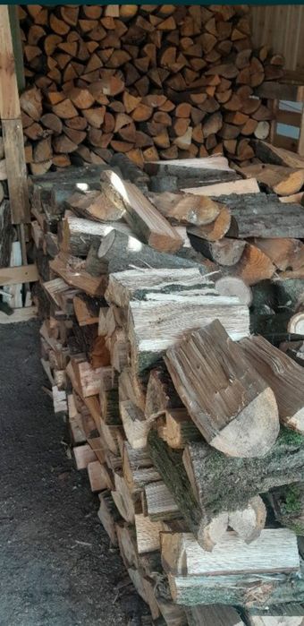 Drewno sosna/dąb/buk/olcha/brzoza/czeremcha/owocowe i inne