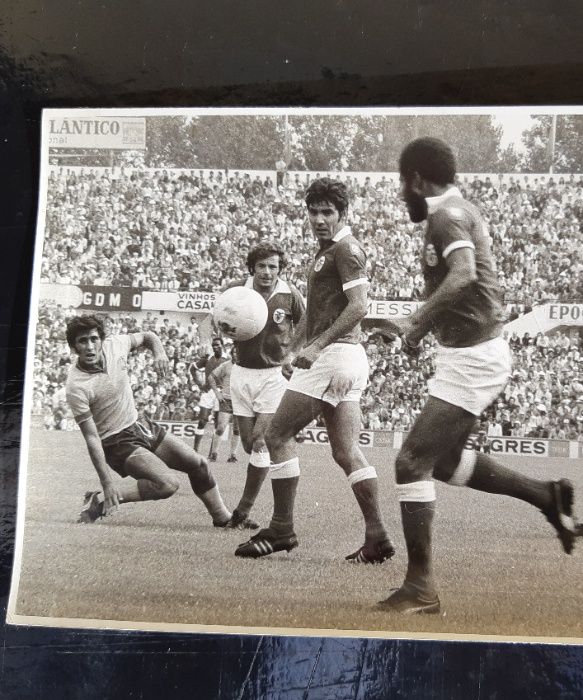 Benfica - ESPECTACULAR FOTOGRAFIA (anos 70) para coleccionadores