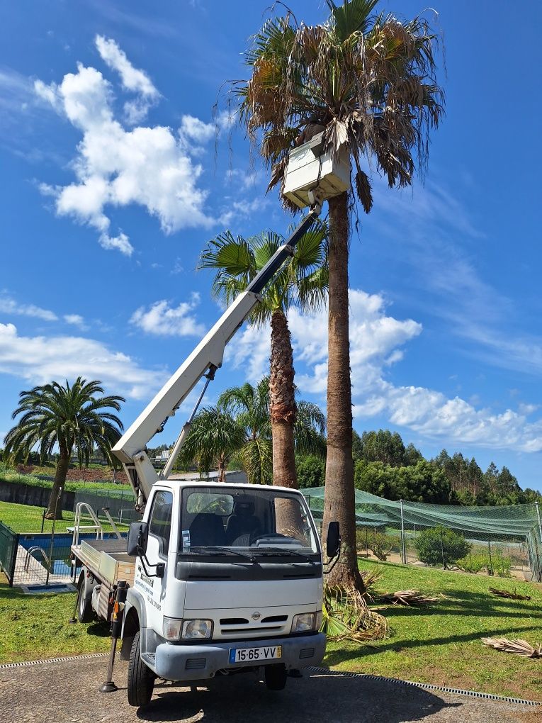 Aluguer de Plataforma elevatória sobre veículo