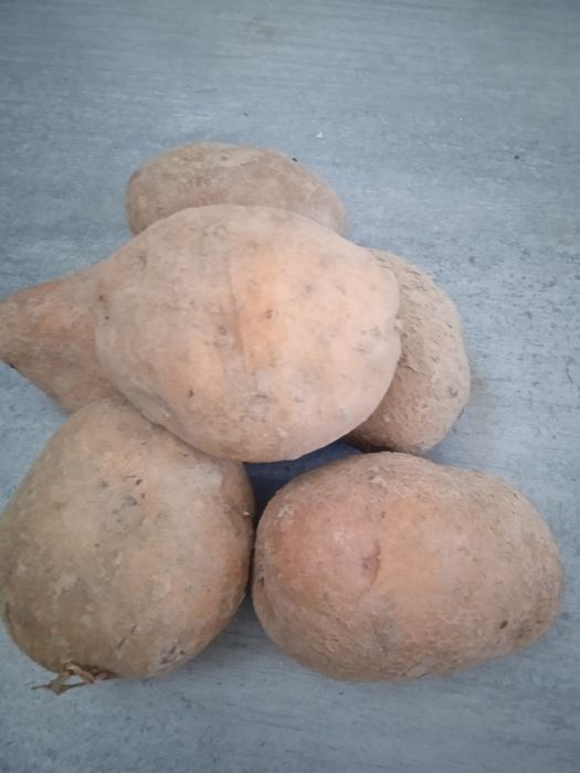 Продам картоплю,буряк  Вiнниця