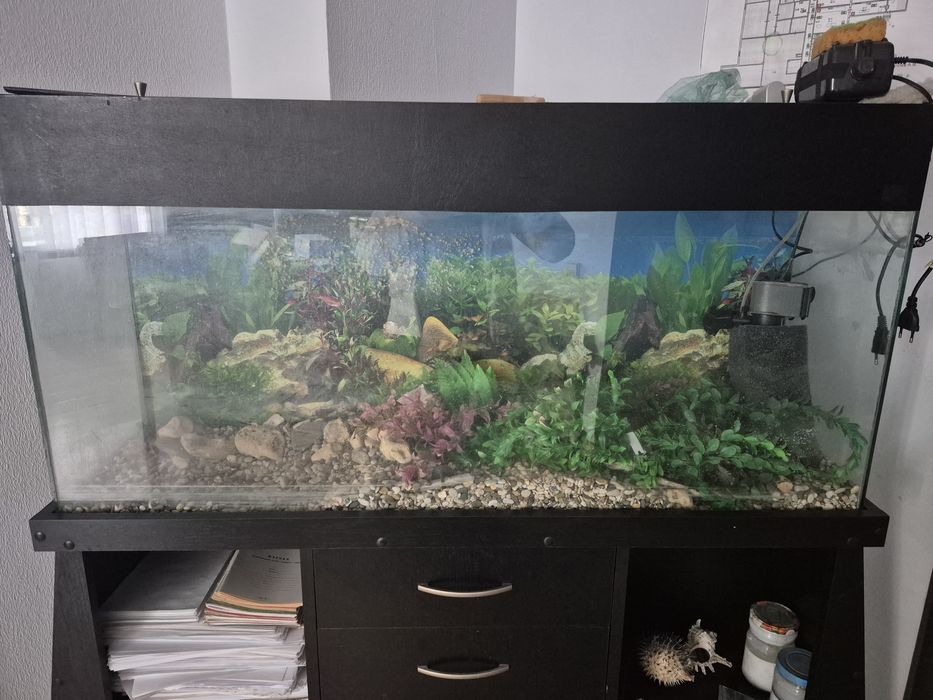 Акваріум з тумбою