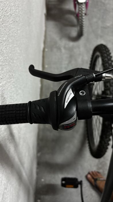 Bicicleta Esmaltina