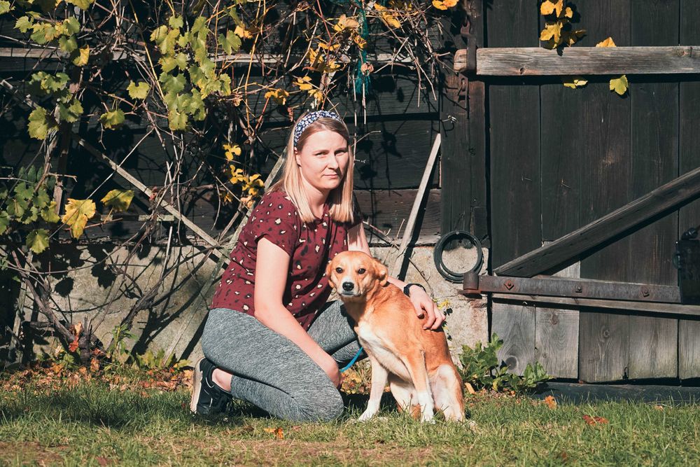 Medo - fajny psiak szuka domu