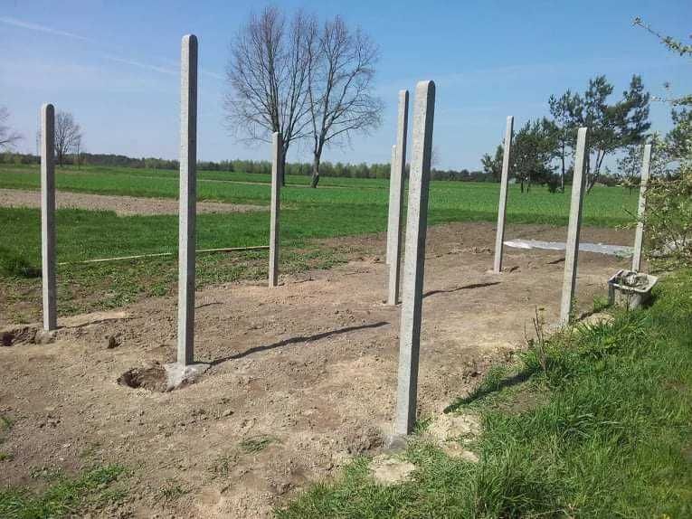 słupki betonowe zbrojone / 2.75m 28 zł/siatka leśna/słupek betonowy