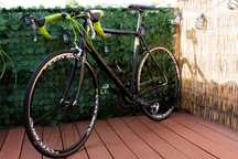 CUSTOM Bulls Harrier 1 MAVIC 105 ULTEGRA Pomiar mocy