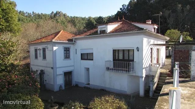 Quinta Em Seixas Com 40.000 M2