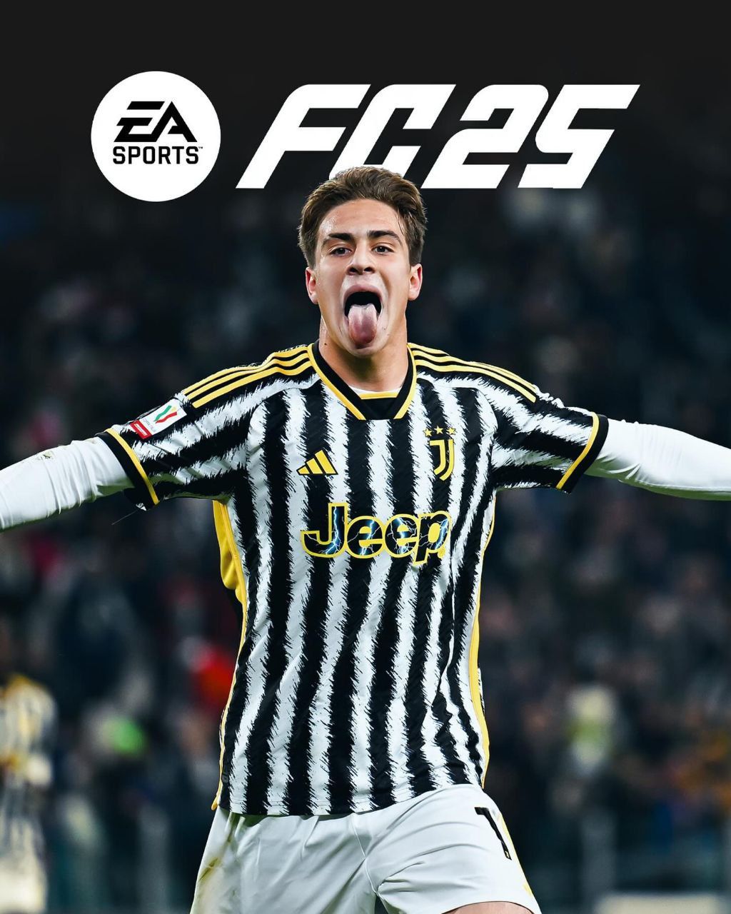 Офлайн Активація FC 25/24 , FIFA 21,22,23.