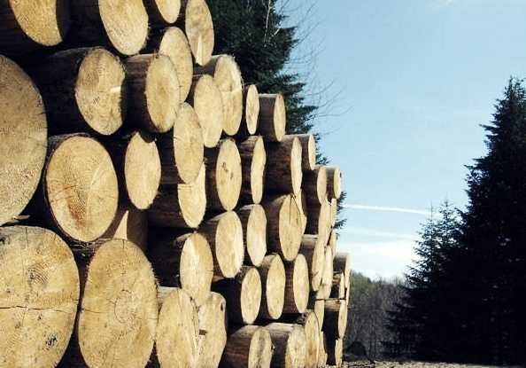 Drewno kominkowe  ukladane transport gratis drewno opałowe sezonowane!