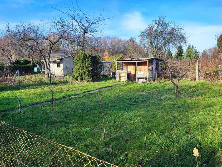 Działka ROD - atrakcyjna lokalizacja