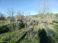 Terreno  para venda