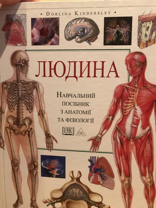 Людина. Dorling Kinderslei