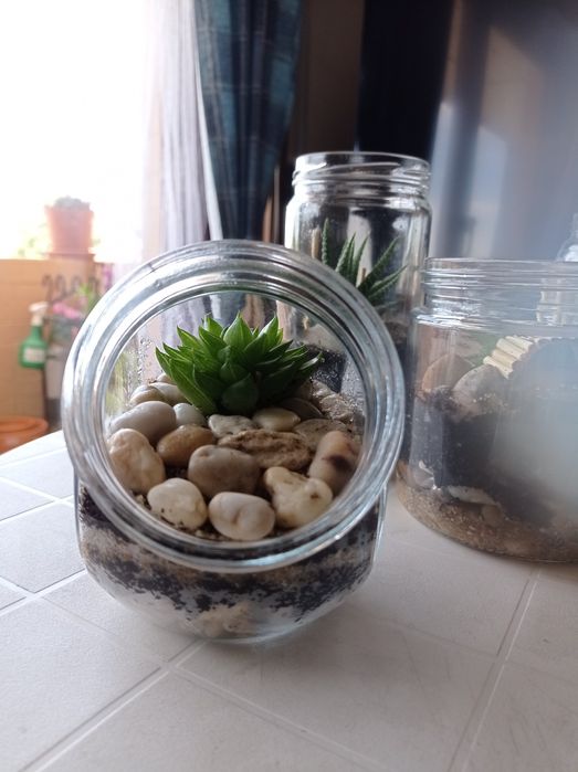 Terrários - Dia da Mãe