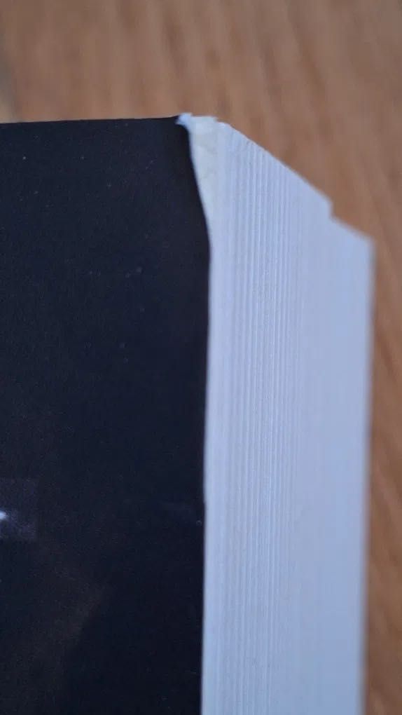 Pakiet książek Lot 202 I Halny Remigiusz Mróz