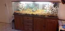 Komoda dębowa z nadstawką terrarium