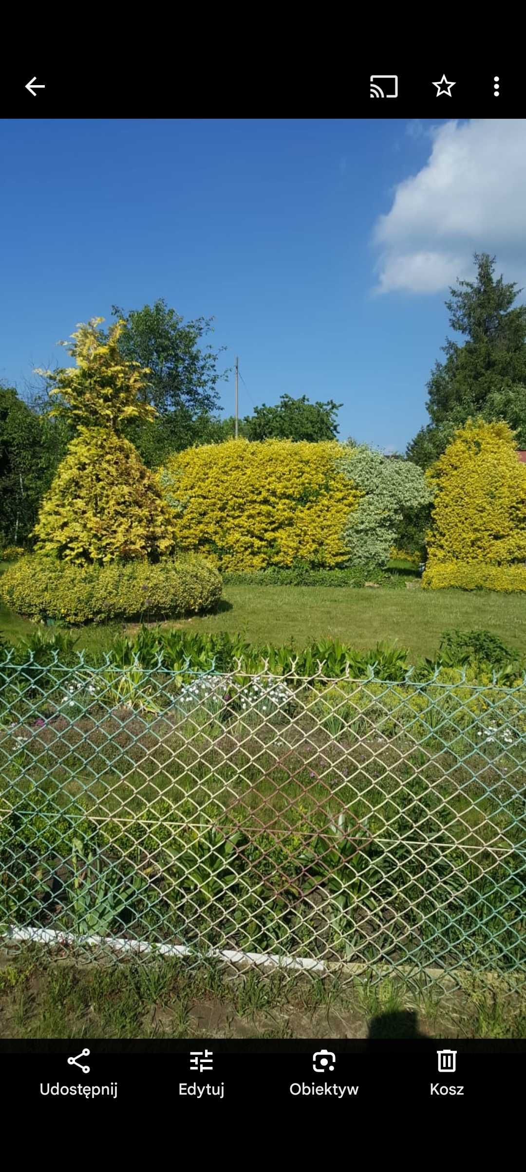 Ogródek działkowy TAMEL
