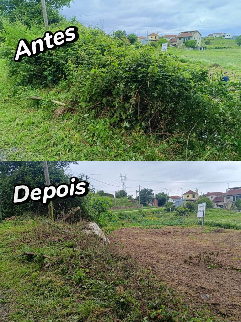 Limpezas de terrenos e jardins
