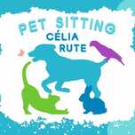 Pet Sitting - Cães, gatos e outros