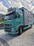 Volvo FH 500 do żywca bydla  bydlarka