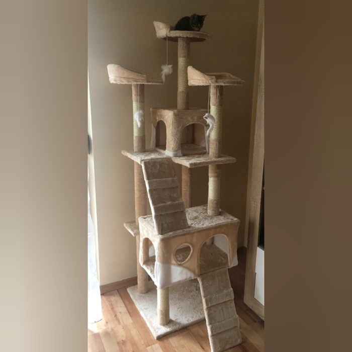 Drapak dla kota XXL beżowy NOWY wielopoziomowy 170 cm