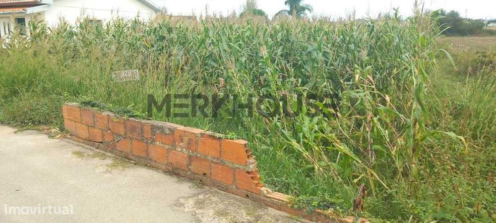 Terreno para venda em zona privilegiada de Avanca