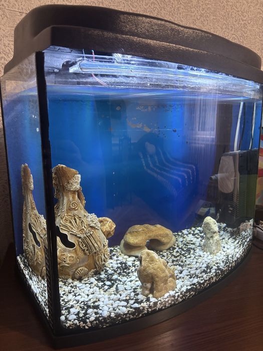 Акваріум комплектом
