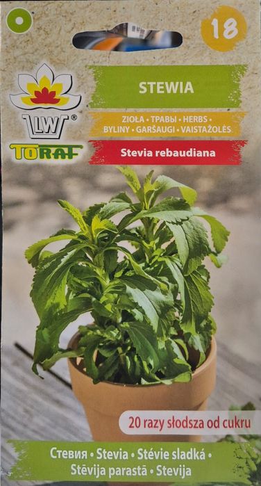 Stewia nasiona , słodsza od cukru