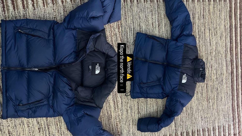Puffer the north face