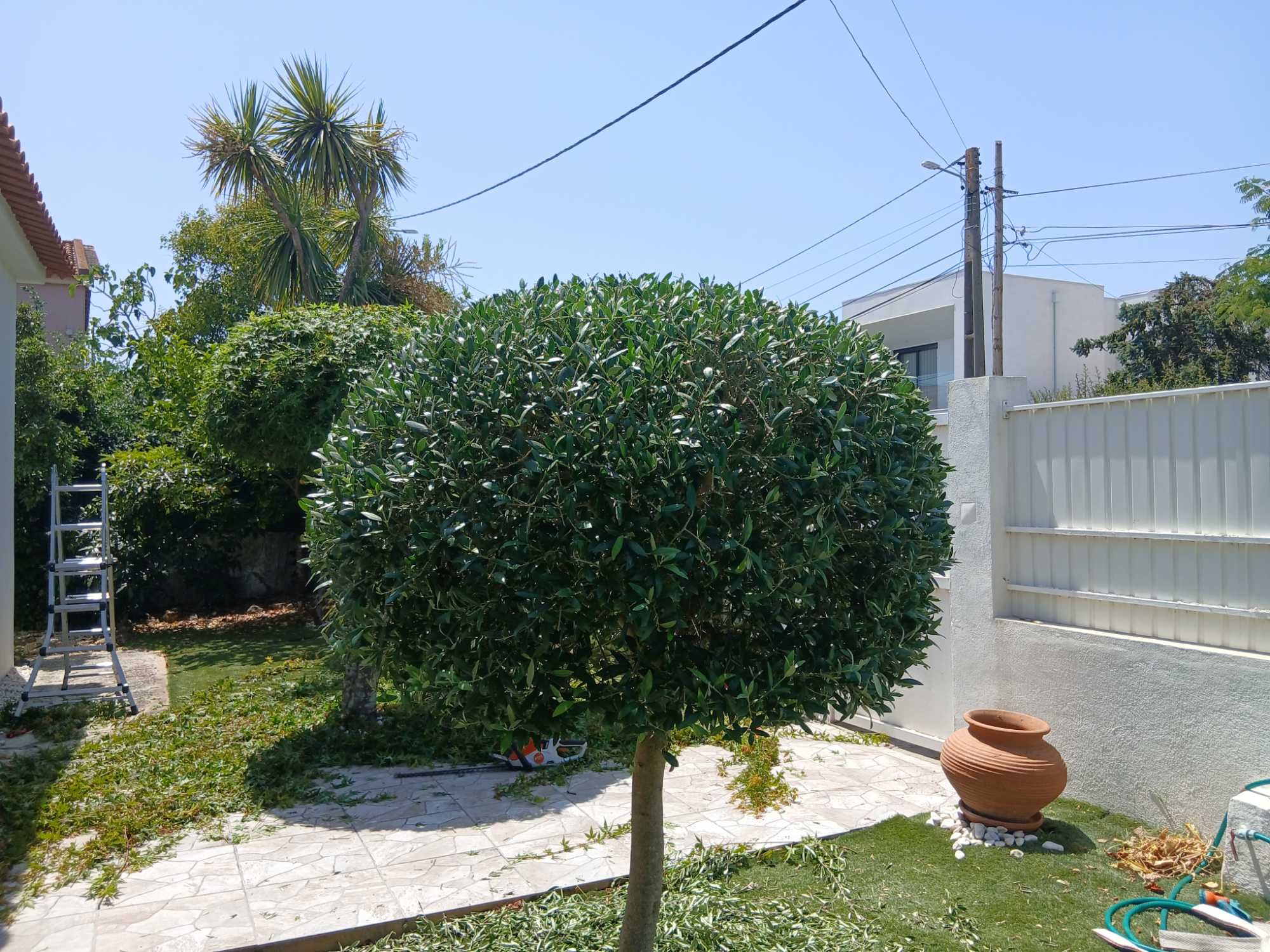 Serviços de jardinagem