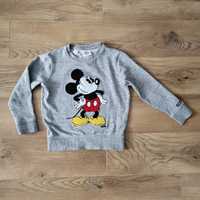 Bluza dziewczęca r.116 Next Mickey Mouse