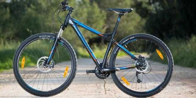 BTT  Bergamont   Revox   29