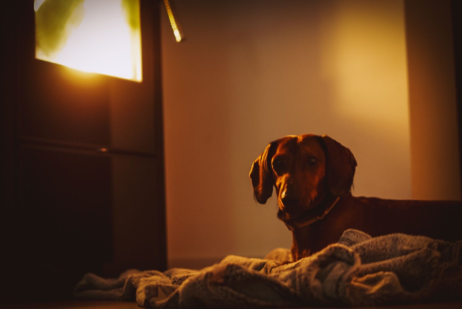 Piec kominkowy Moven 5kW Eco + Rekuperacja + Komin OKAZJA!