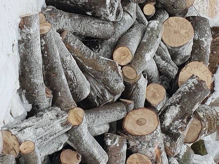 Drewno- Kominkowo-Opałowe Ostróda