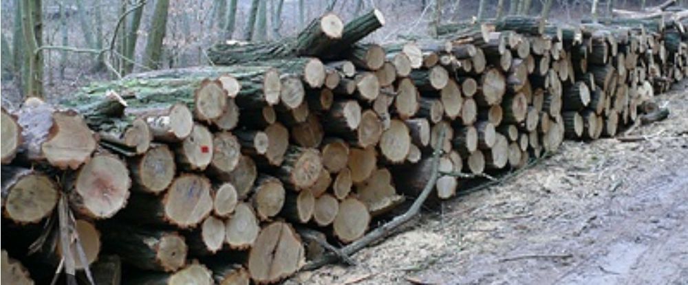 Drewno opałowe Akacja