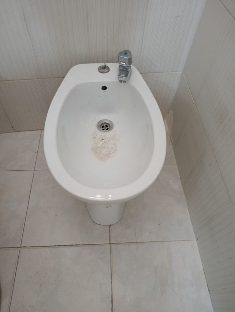 Loucas de casa banho