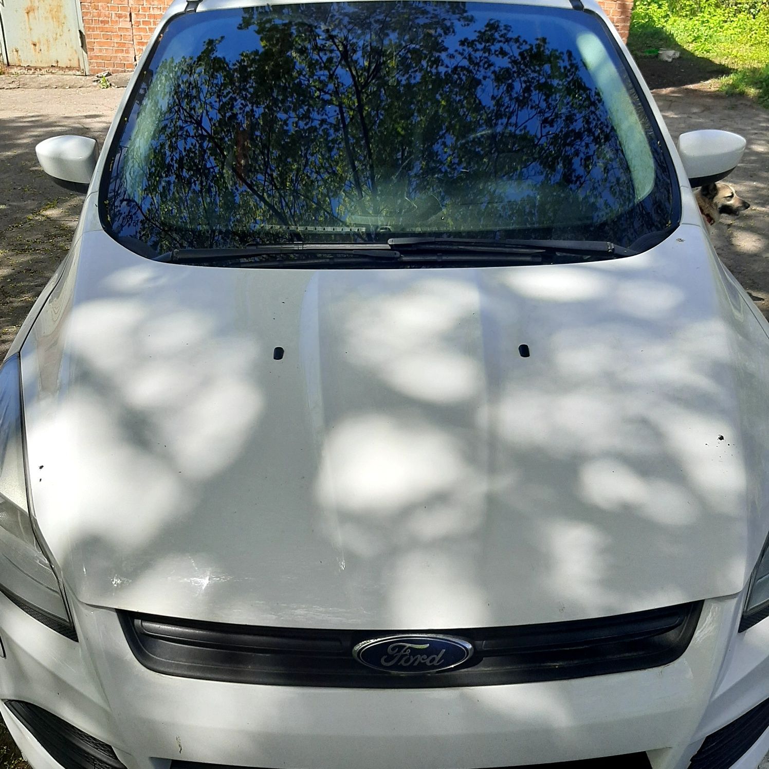 FORD  еscape  2,5