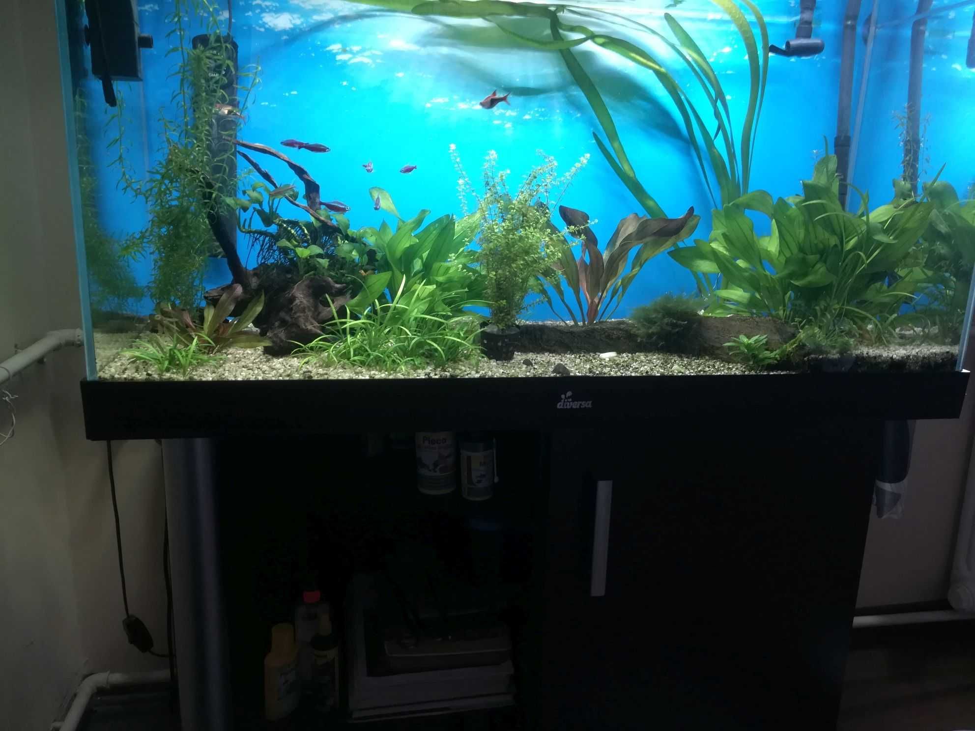 Akwarium 200l Optiwhite