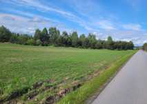 Działka budowlana 1000m Brzechów