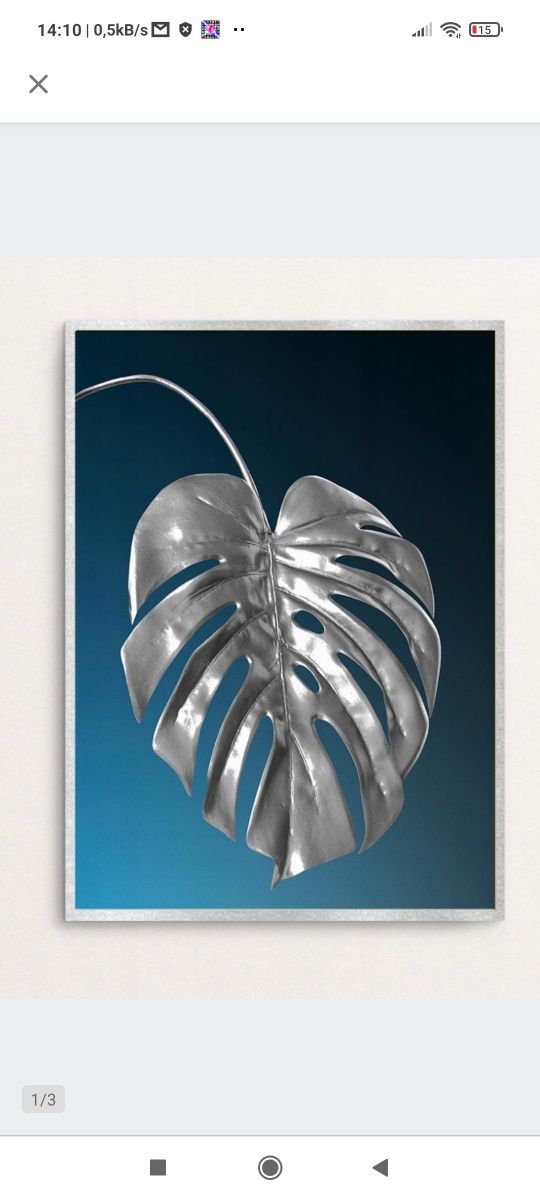 Plakat 50x40 monstera