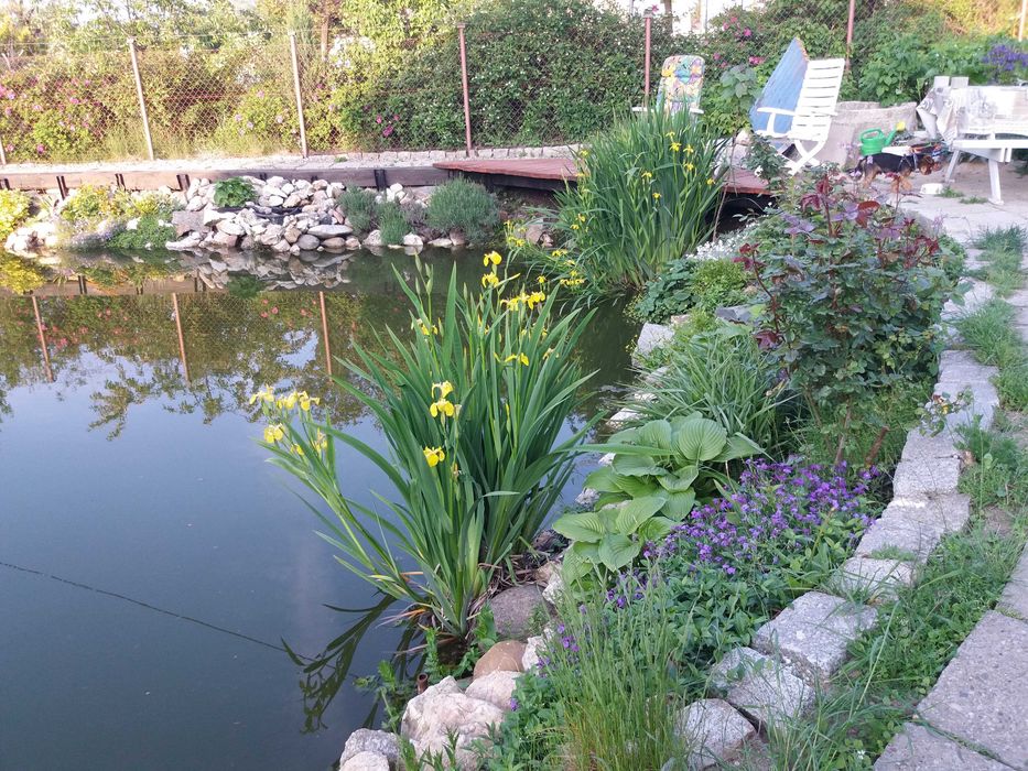 Sprzedam mieszkanie 85 m2 + ogród