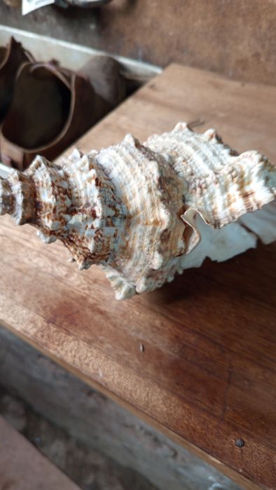 Peças.decorativas.varias.pevas