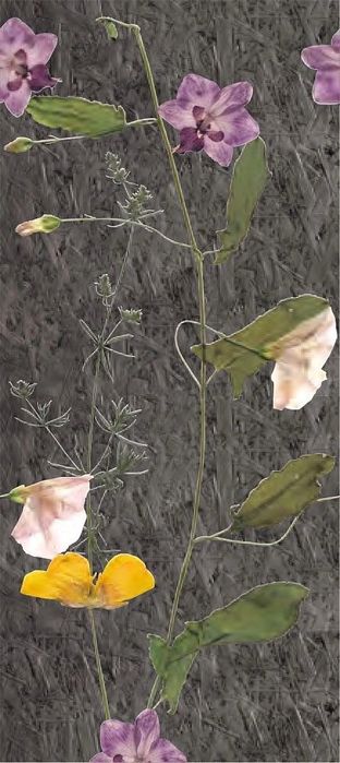 Ekologiczne panele ścienne BE.YOND ecowall SWISS KRONO Zielnik