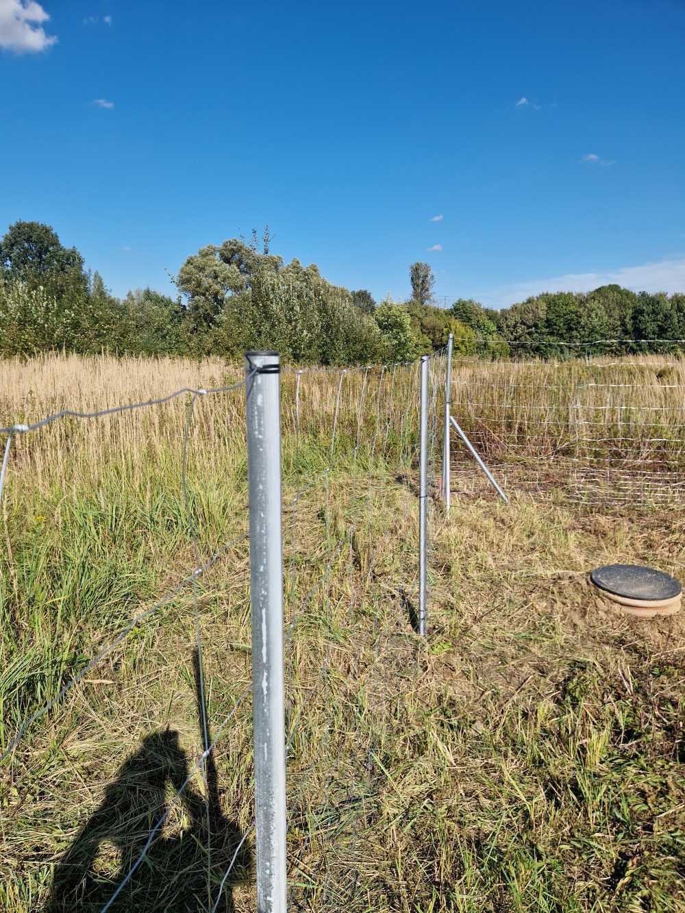 Słupki ogrodzeniowe rurki metalowe OCYNK fi 40mm dł 2.3m + zaślepka
