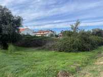 Limpeza/desmatacao de terrenos
