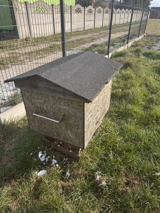 Ul typu dadant z powałkami komplet