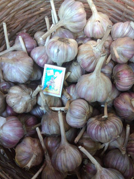 Чеснок Любаша...