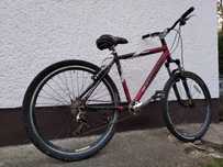 Saracen Dirt Track Custom 26"