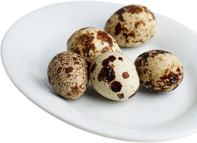 Яйцо перепелов домашнее